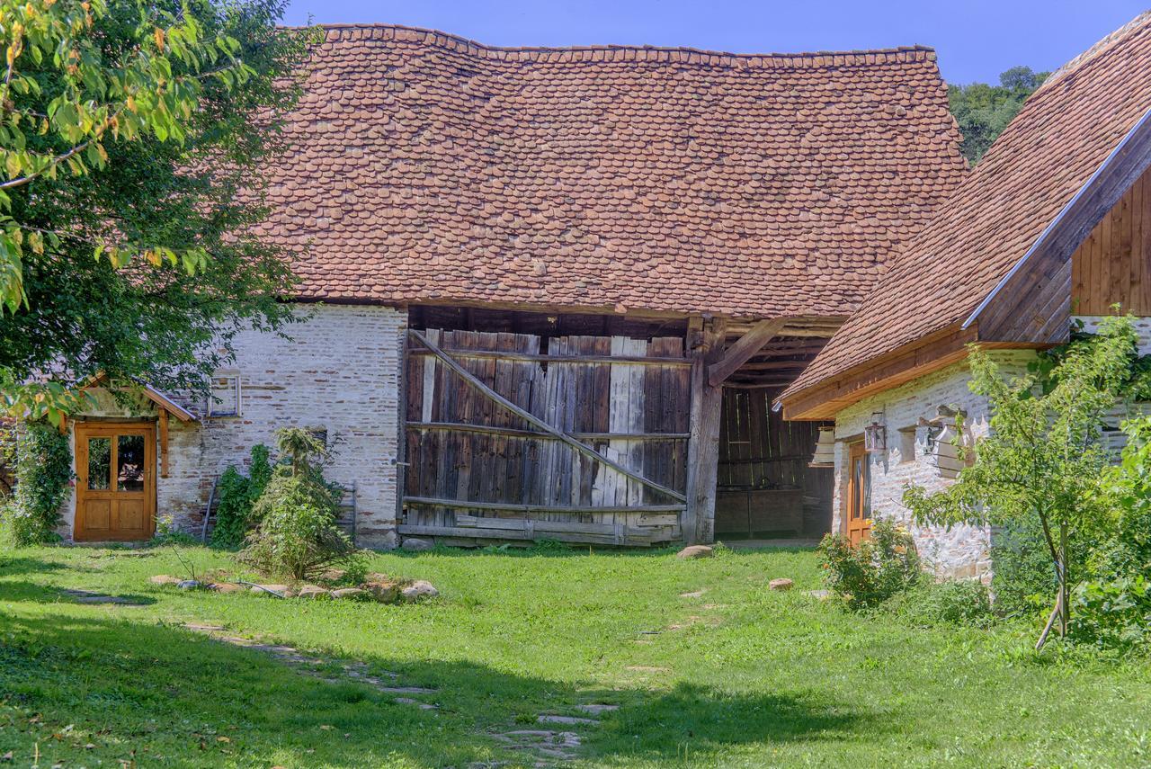 Affittacamere Dominic Boutique - Atelier Cloasterf Esterno foto